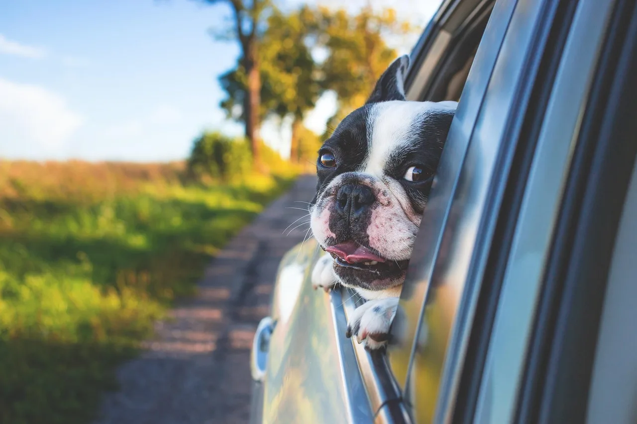 Why some car odors come back