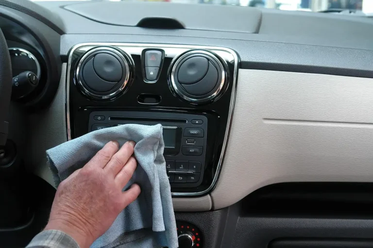 Pet odor enzyme cleaner for cars: when should you use it?