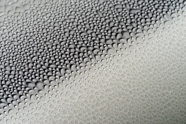 Dark gray car hood with patchy beading and dull reflections under natural light