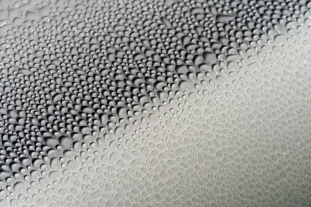 How Can You Tell When Ceramic Coating Maintenance Fails?