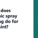 What does ceramic spray coating do for car paint?